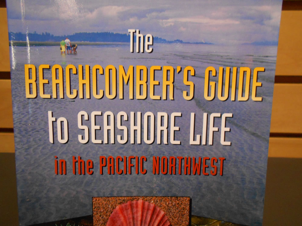 The Beachcomber S Guide To Seashore Life In The Pacific